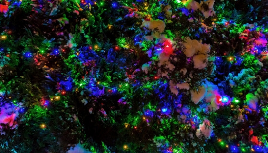 Picture 4 of Multi-color 100LED Solar Strings Lights