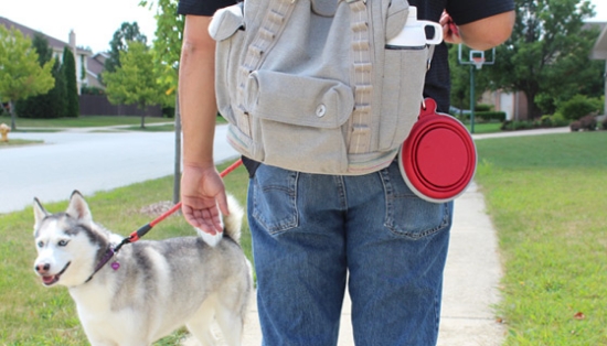 Picture 3 of Collapsible Food and Water Bowl For Pets