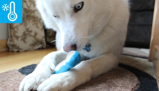 Picture 4 of Chilly Bone - A Pupsicle For Your Dog