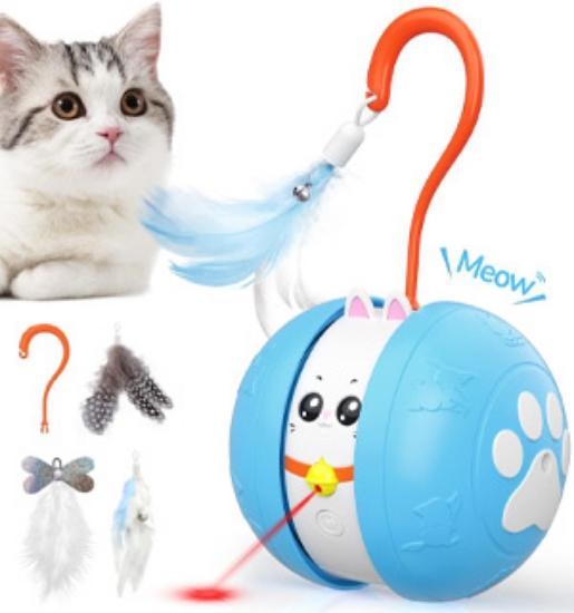 Picture 1 of Crazy Laser Interactive Cat Ball