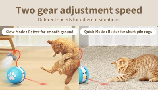 Picture 3 of Crazy Laser Interactive Cat Ball