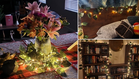 Picture 6 of 16.5ft Decorative LED Vine Hanging Lights: USB or Battery Powered