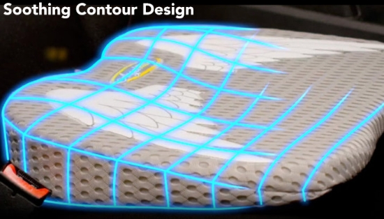 Picture 5 of AngelRide Seat, Spine &amp; Back Support - Deluxe Blue Wing Edition