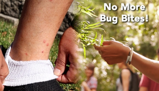 Picture 4 of 2-Pack Insect Repellent Bracelets With Refills: Repel Mosquitoes and More!     